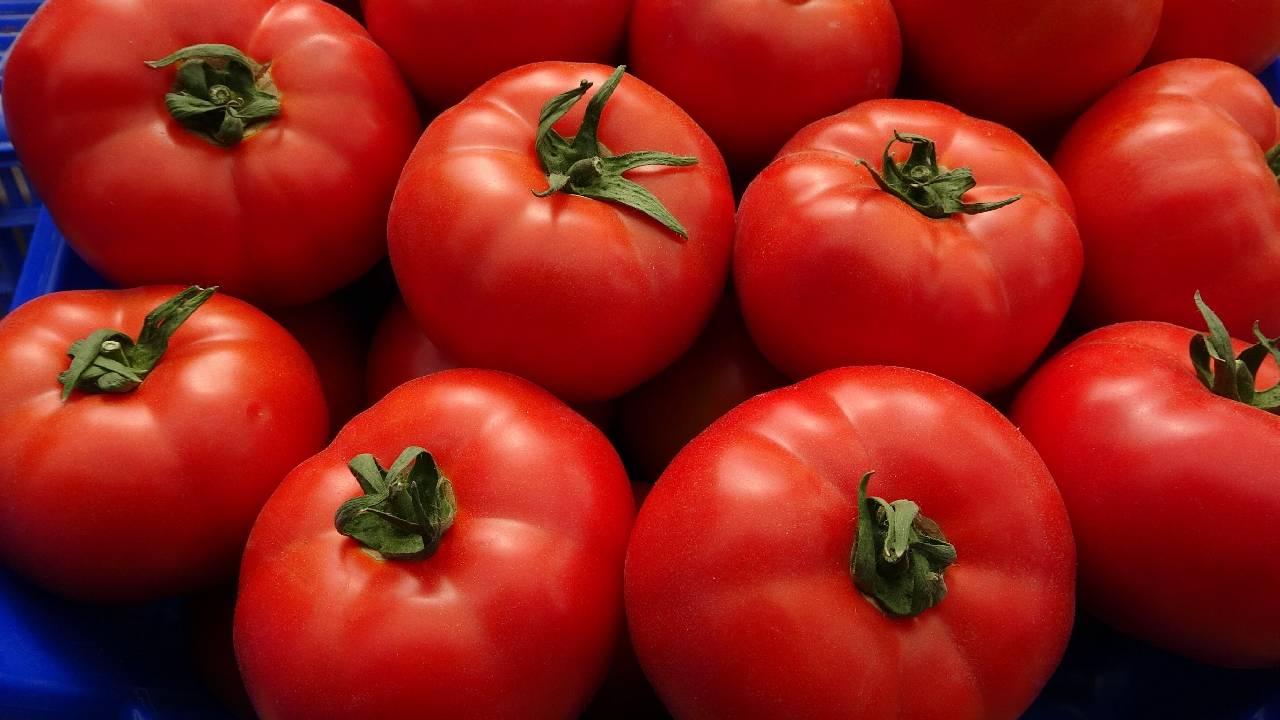 Domatesi Sakın Böyle Tüketmeyin: Zehir Saçıyor Uzman Uyardı!