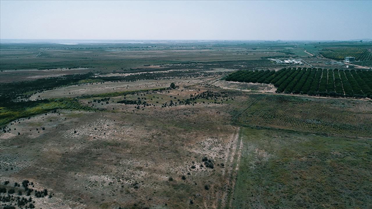 Milli Emlak 26.000 TL’ye Tarla Satıyor! İşte İhale Şartları!